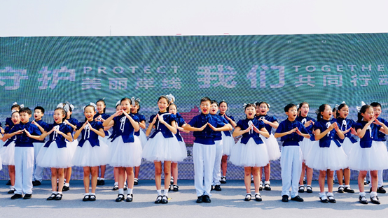 1568006932563217.png image.png