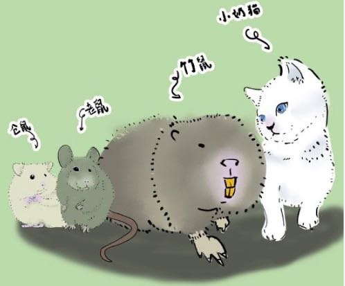 1598335272784157.jpeg WechatIMG718.jpeg